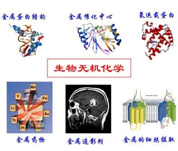 伟德BETVLCTOR